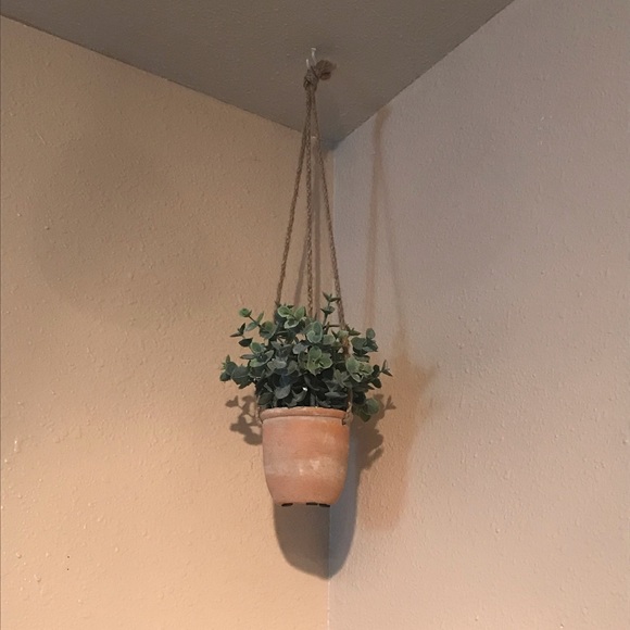 Hanging plant ornament - Picture 1 of 1